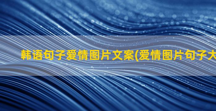 韩语句子爱情图片文案(爱情图片句子大全 个性)